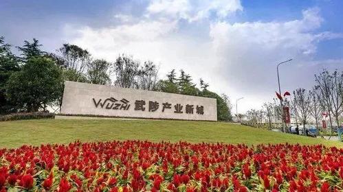 武陟 作为快餐业领军品牌之一,华莱士是中国本土最大的一家集产品开发
